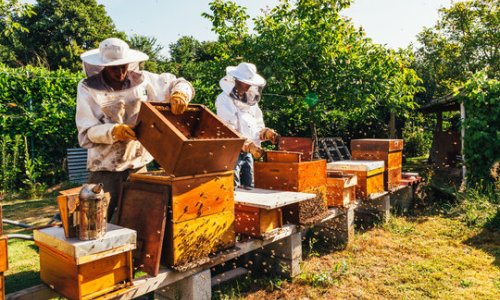 Sustainable Business